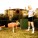 Another Failed Fitness Challenge. April: Pushups