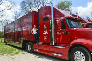The Blonde Side's photoshoot with the Budweiser Clydesdales team