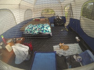 A look into our MASSIVE tent