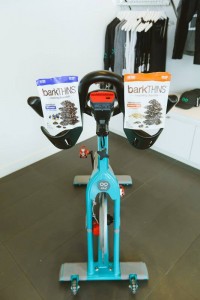 barkTHINS - a great snacking chocolate after our RYDE